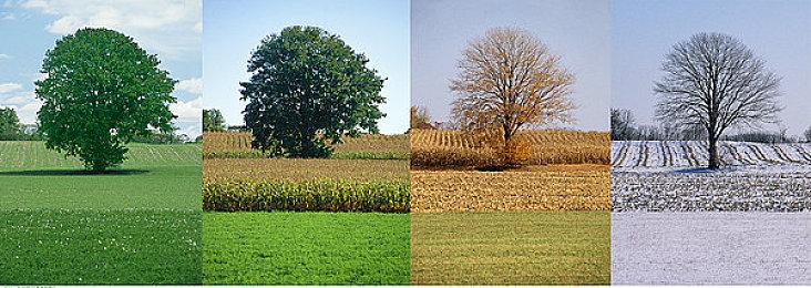 为拯救《赛博朋克2077》 CDP花费了1.2亿美元